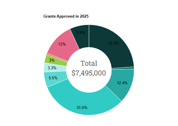 Donut Chart 2025
